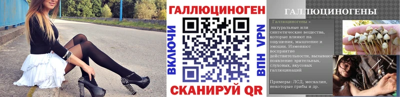 Купить закладки  Починок  Псилоцибиновые грибы Psilocybe 